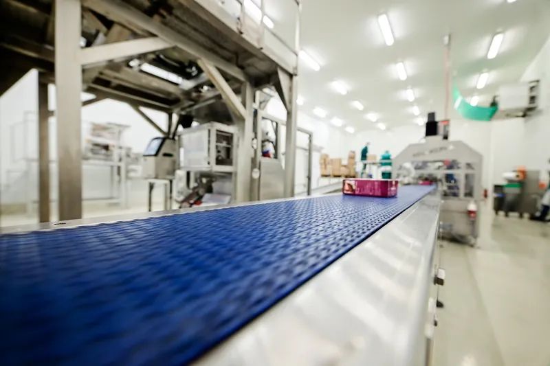 1661838099353391.jpg 1661838099353391.jpg